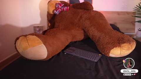 bella__donne free recording from 2025-12-24 14:14:00