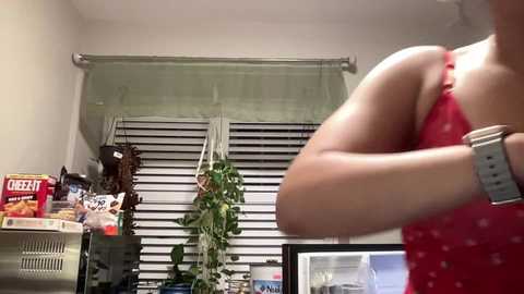 nalanistorme free recording from 2025-12-24 03:19:00