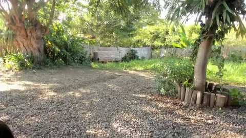 paoguerrax354 free recording from 2025-12-24 20:37:00