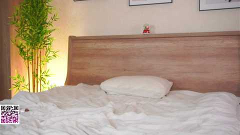 lanisun free recording from 