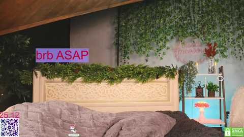 lissa_meooow free recording from 2025-12-25 09:48:00