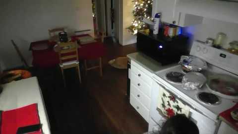 luh698171 free recording from 