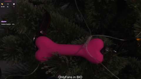 taitehambelton free recording from 