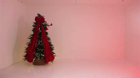 _meganmeow_ free recording from 2025-12-26 01:14:00