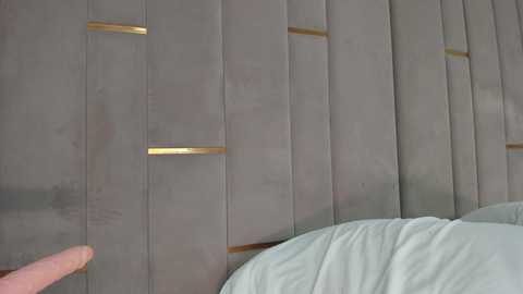 evalims free recording from 2025-12-26 18:31:00