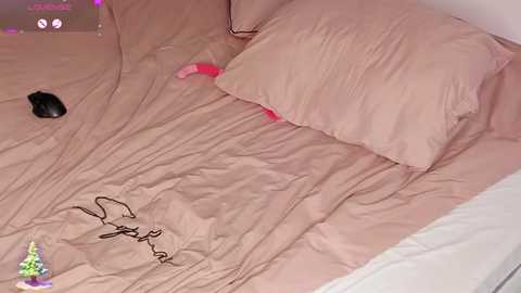 lili_and_niki free recording from 