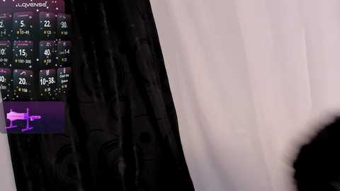 missmeegan_ free recording from 2025-12-26 10:17:00