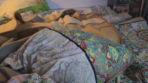 _demi_dee_ free recording from 2025-12-28 02:18:00