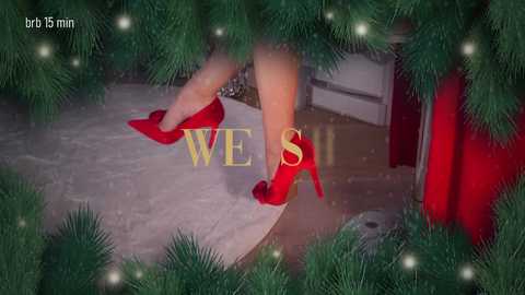 taanni_bc free recording from 2025-12-28 06:50:00