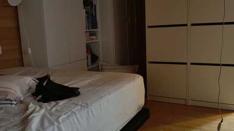 wild41 free recording from 