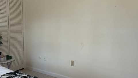 willoww888 free recording from 2025-12-28 17:12:00