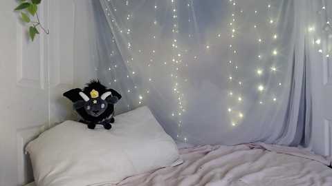 hexivu free recording from 2025-12-29 09:48:00