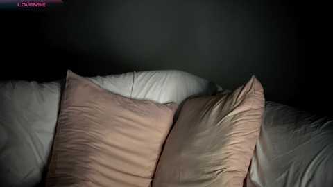 jonathanfranz123 free recording from 2025-12-29 14:00:00