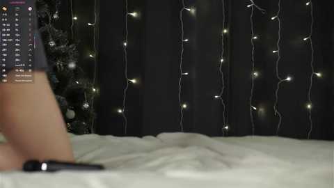 sheenadu free recording from 2025-12-29 13:38:00