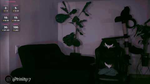 abril__colen free recording from 2025-12-30 03:32:00