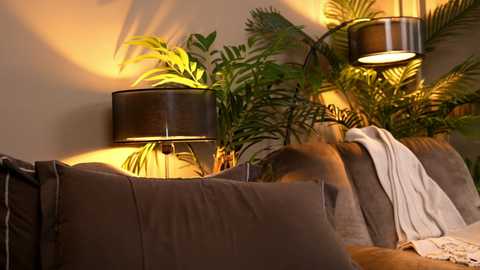 _keti_ free recording from 2025-12-31 08:04:00