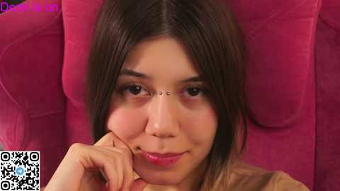 forestproject free recording from 2025-12-31 12:21:00