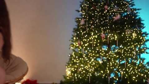 kittycaitlin free recording from 2025-12-31 02:32:00