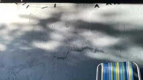 liaforyou free recording from 2025-12-31 20:46:00