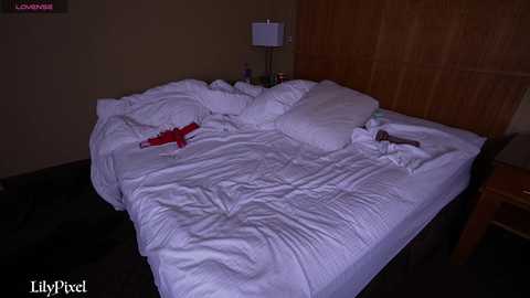 lilypixel free recording from 