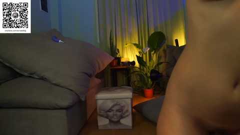 the_pussy_boulevard free recording from 