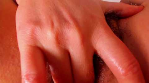 bush_woman free recording from 