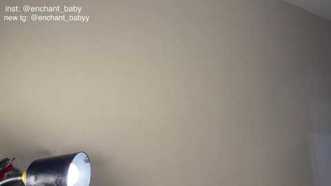 enchant_baby_ free recording from 2026-01-01 03:37:00