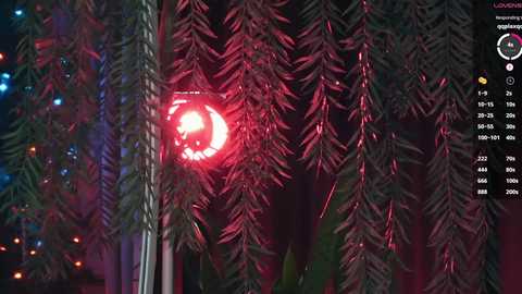 mia_vebes free recording from 2026-01-01 21:57:00