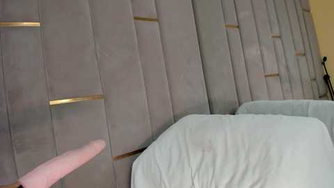 evalims free recording from 2026-01-02 17:46:00