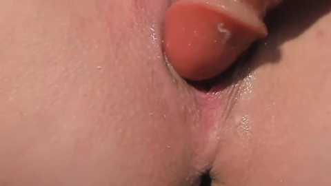 pumpkin_xo free recording from 