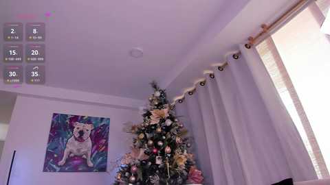 nemisha free recording from 2026-01-03 16:19:00