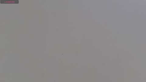 sahara_n_thiago free recording from 2026-01-03 19:32:00