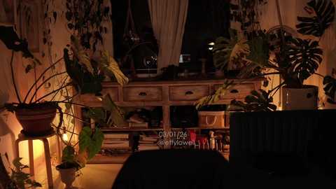 effylowell_ free recording from 2026-01-04 02:24:00