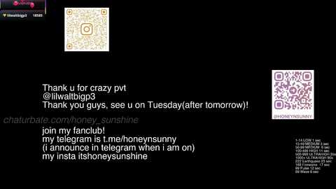 honey_sunshine free recording from 2026-01-04 13:20:00