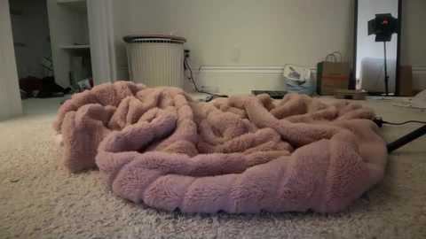 maddieblair1 free recording from 2026-01-04 02:20:00