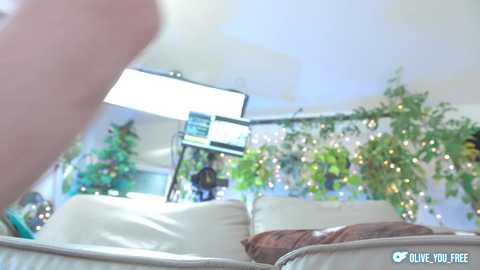 olive_you_ free recording from 