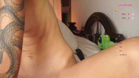 sapphirealice free recording from 2026-01-04 16:46:00