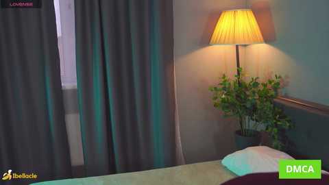 bellacle free recording from 2026-01-05 12:49:00