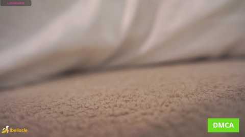 bellacle free recording from 2026-01-05 13:57:00