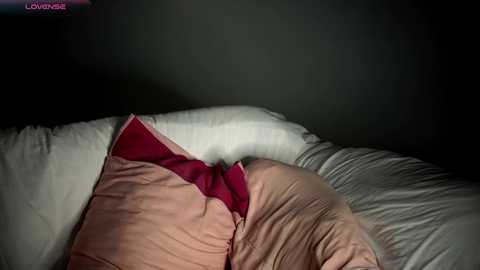 jonathanfranz123 free recording from 2026-01-05 12:36:00