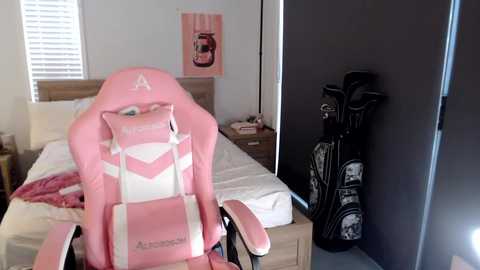 novakitty4 free recording from 