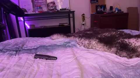 blondebunny999 free recording from 2026-01-06 04:13:00