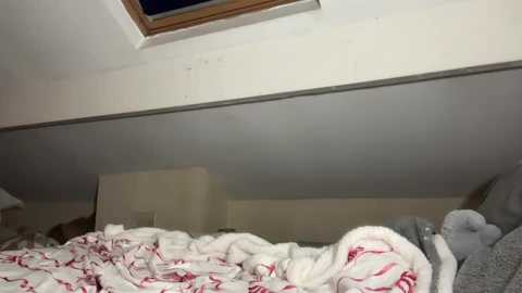 allanarey151 free recording from 