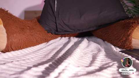 bella__donne free recording from 2026-01-07 18:29:00