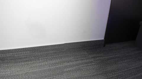 salytexas free recording from 