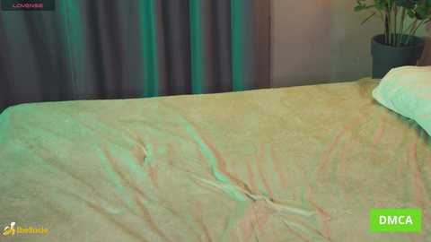 bellacle free recording from 