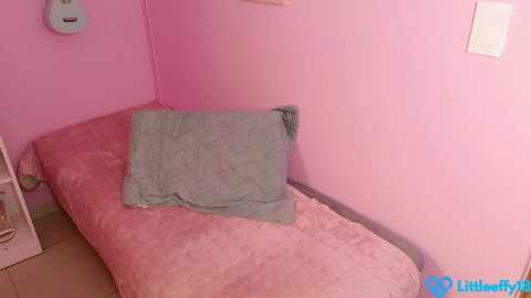 little_effy18_ free recording from 2026-01-28 00:27:00