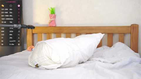 pafosstar free recording from 2026-01-08 15:58:00