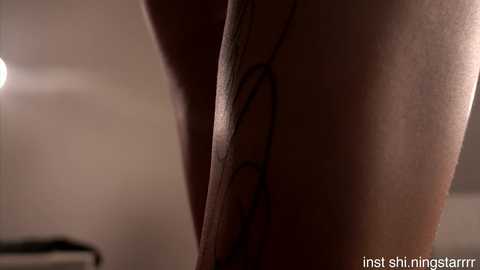 shiningstarrr free recording from 2026-01-08 21:13:00