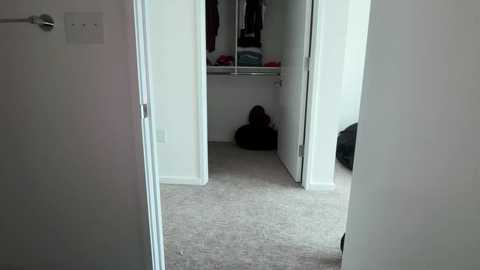 stellapearl free recording from 